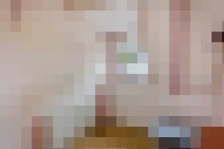 Verlengde Oosterdiep OZ 80 Barger-Compascuum thumbnail 23