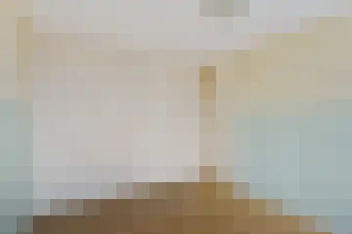 Verlengde Oosterdiep OZ 80 Barger-Compascuum thumbnail 26