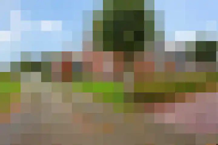 Verlengde Oosterdiep OZ 80 Barger-Compascuum thumbnail 29