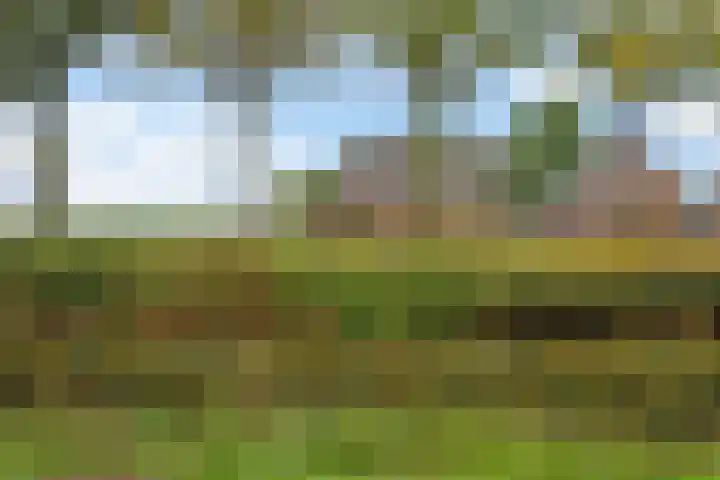 Verlengde Oosterdiep OZ 80 Barger-Compascuum thumbnail 30
