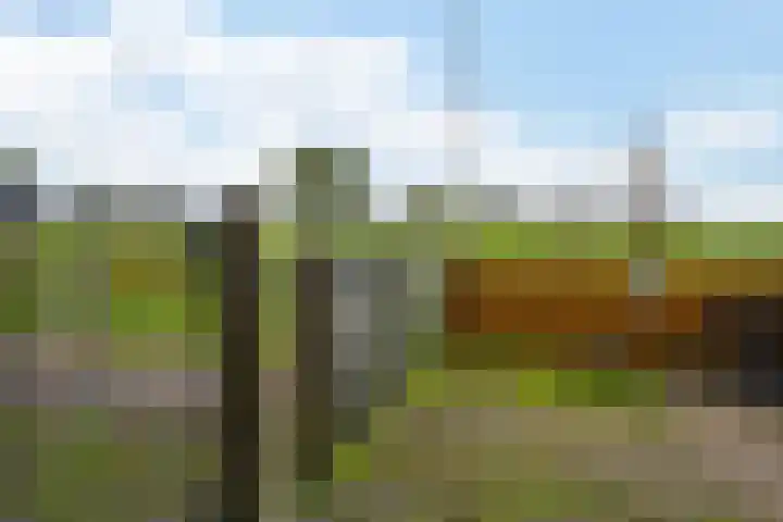 Verlengde Oosterdiep OZ 80 Barger-Compascuum thumbnail 31