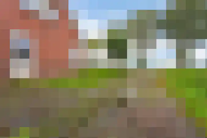 Verlengde Oosterdiep OZ 80 Barger-Compascuum thumbnail 33