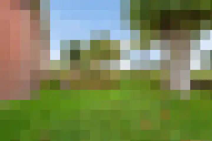Verlengde Oosterdiep OZ 80 Barger-Compascuum thumbnail 34