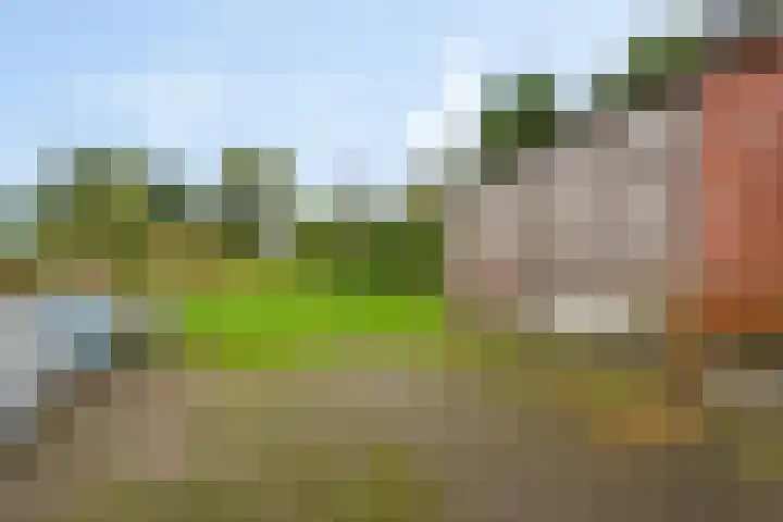 Verlengde Oosterdiep OZ 80 Barger-Compascuum thumbnail 35