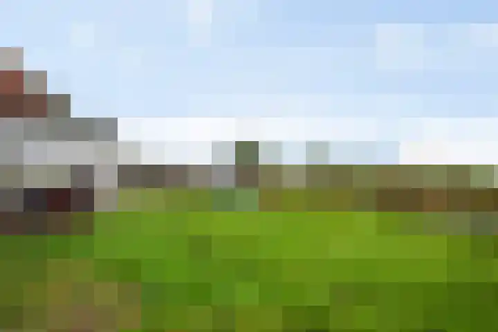Verlengde Oosterdiep OZ 80 Barger-Compascuum thumbnail 37