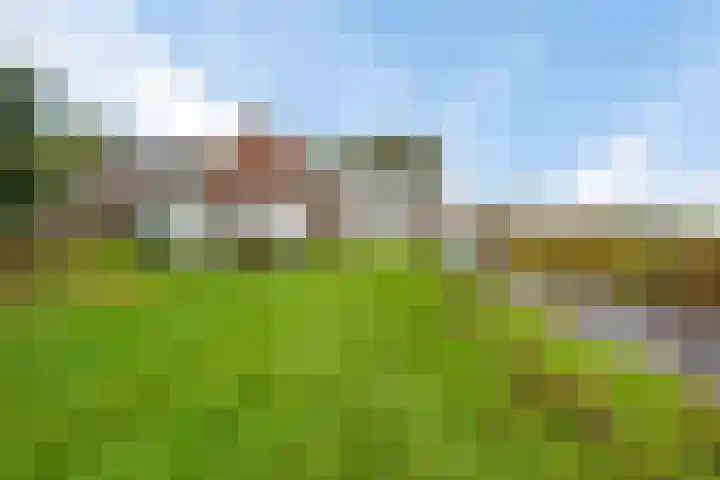Verlengde Oosterdiep OZ 80 Barger-Compascuum thumbnail 38