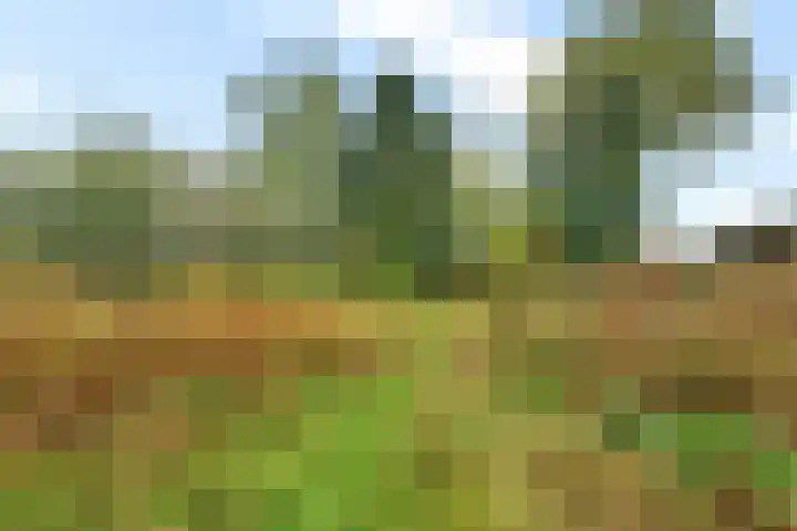 Verlengde Oosterdiep OZ 80 Barger-Compascuum thumbnail 39