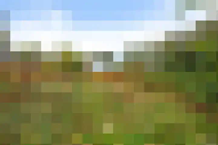 Verlengde Oosterdiep OZ 80 Barger-Compascuum thumbnail 40