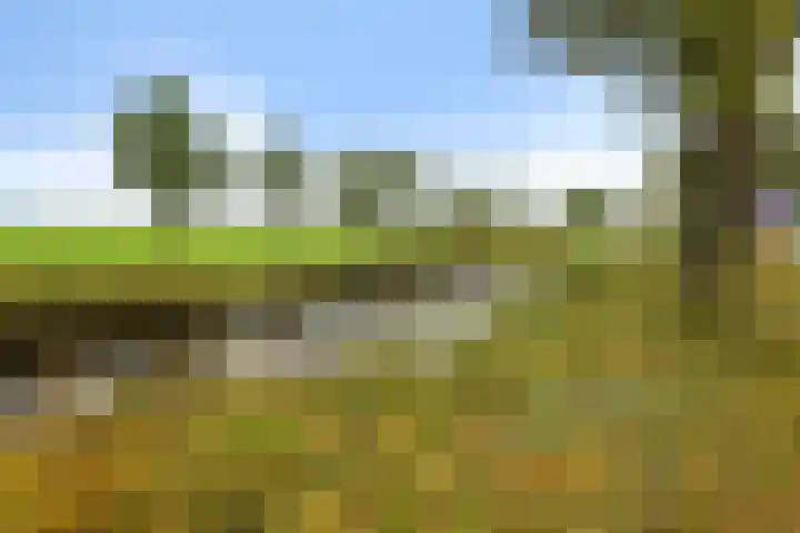 Verlengde Oosterdiep OZ 80 Barger-Compascuum thumbnail 41