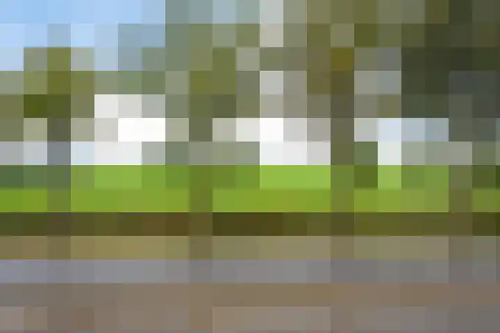Verlengde Oosterdiep OZ 80 Barger-Compascuum thumbnail 42