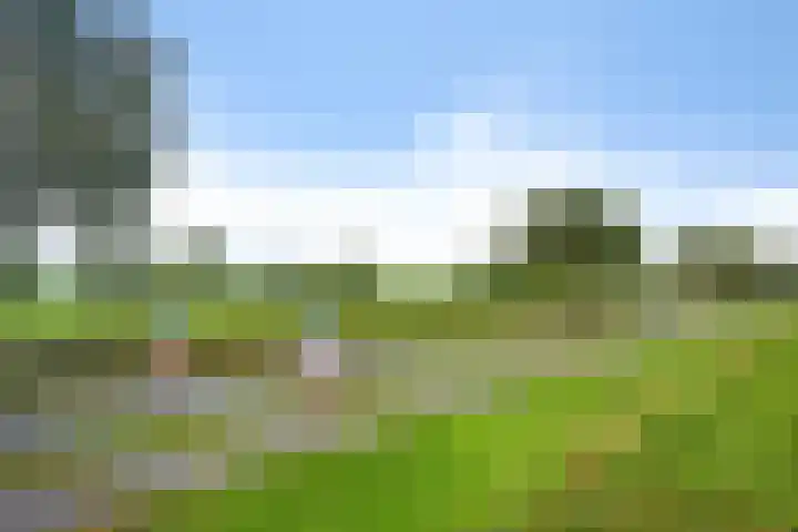 Verlengde Oosterdiep OZ 80 Barger-Compascuum thumbnail 43