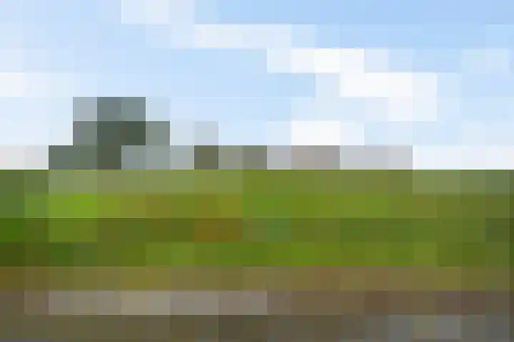 Verlengde Oosterdiep OZ 80 Barger-Compascuum thumbnail 44