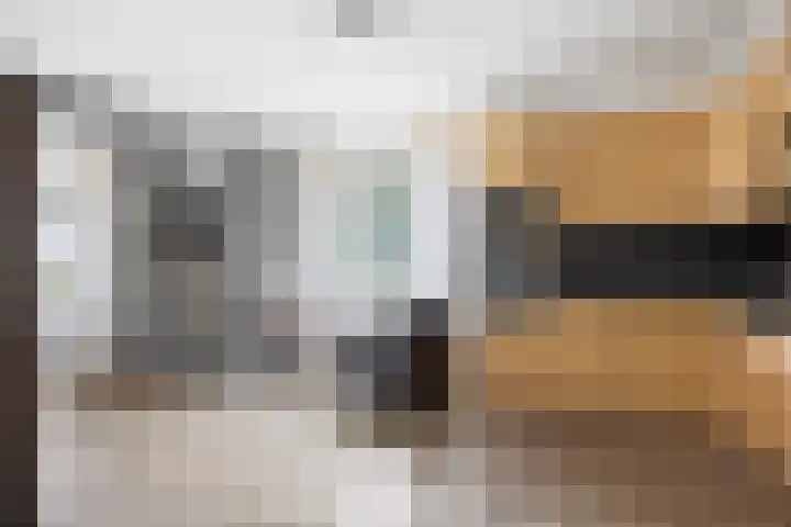 Verlengde Oosterdiep WZ 60 Barger-Compascuum thumbnail 16