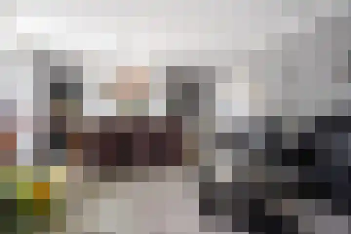Verlengde Oosterdiep WZ 60 Barger-Compascuum thumbnail 21