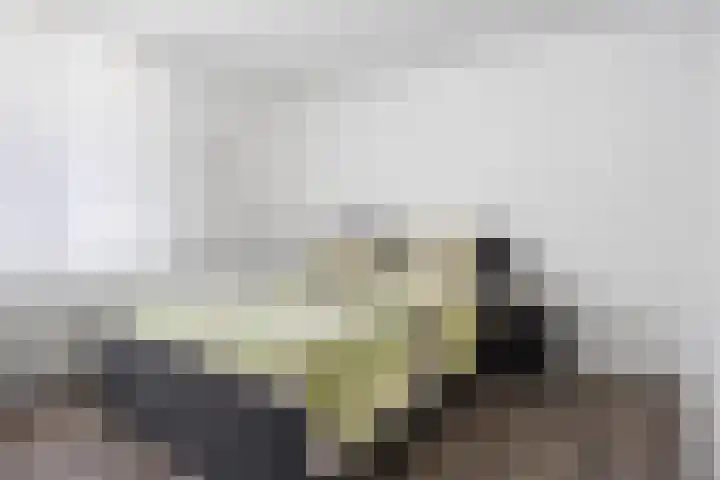 Verlengde Oosterdiep WZ 60 Barger-Compascuum thumbnail 23