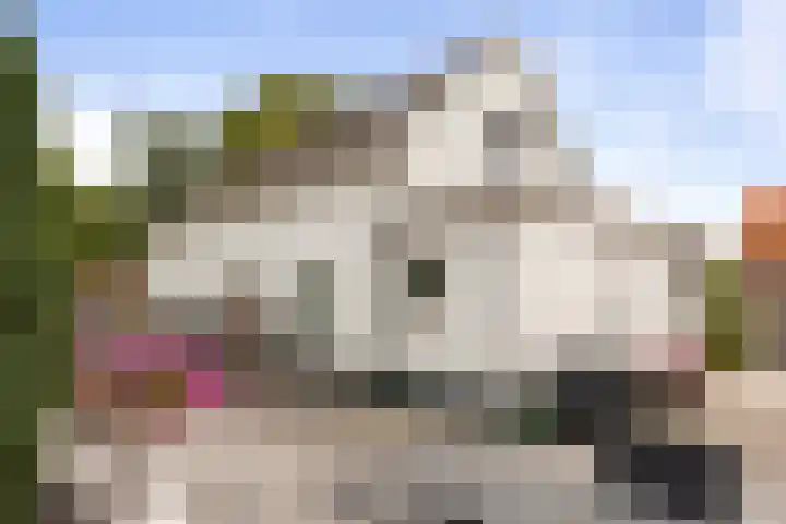 Verlengde Oosterdiep WZ 60 Barger-Compascuum thumbnail 32