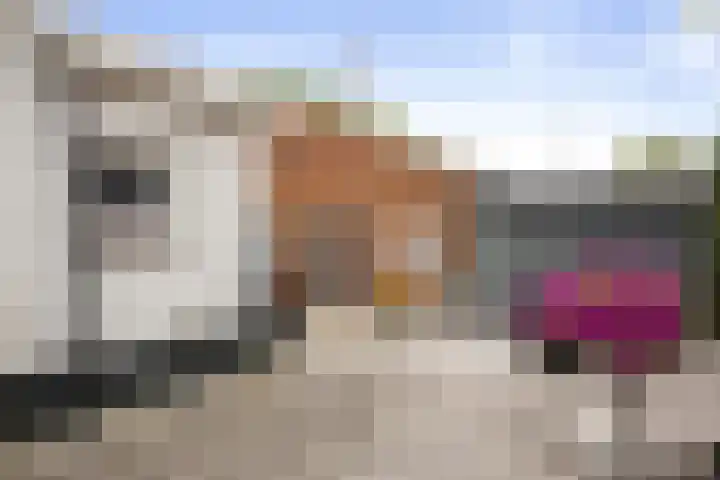 Verlengde Oosterdiep WZ 60 Barger-Compascuum thumbnail 33