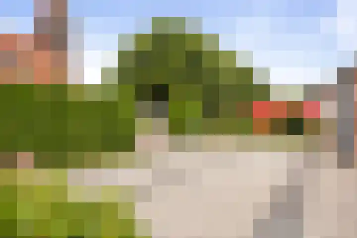 Verlengde Oosterdiep WZ 60 Barger-Compascuum thumbnail 36