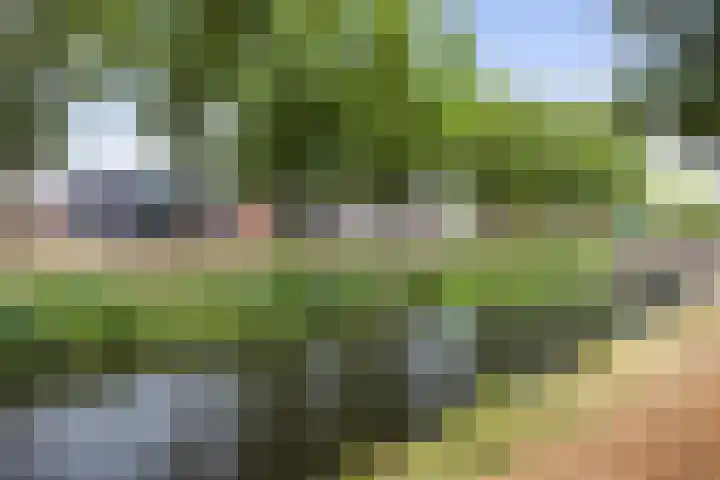 Verlengde Oosterdiep WZ 60 Barger-Compascuum thumbnail 37