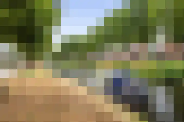 Verlengde Oosterdiep WZ 60 Barger-Compascuum thumbnail 38