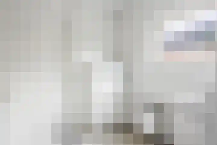 Verlengde Oosterdiep WZ 60 Barger-Compascuum thumbnail 5