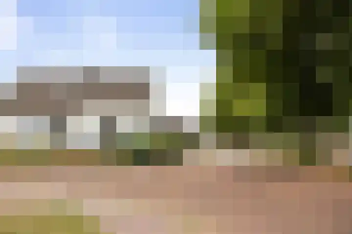 Verlengde Oosterdiep WZ 60 Barger-Compascuum thumbnail 9