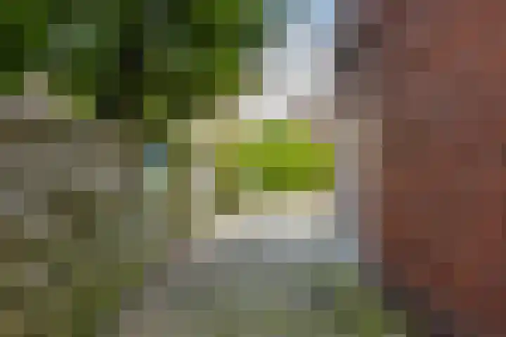 Verlengde Oosterweg 24 1 Groningen thumbnail 27