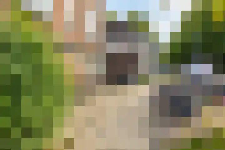 Verlengde Oosterweg 24 1 Groningen thumbnail 33