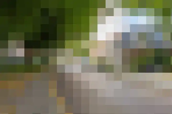 Verlengde Oosterweg 24 1 Groningen thumbnail 34