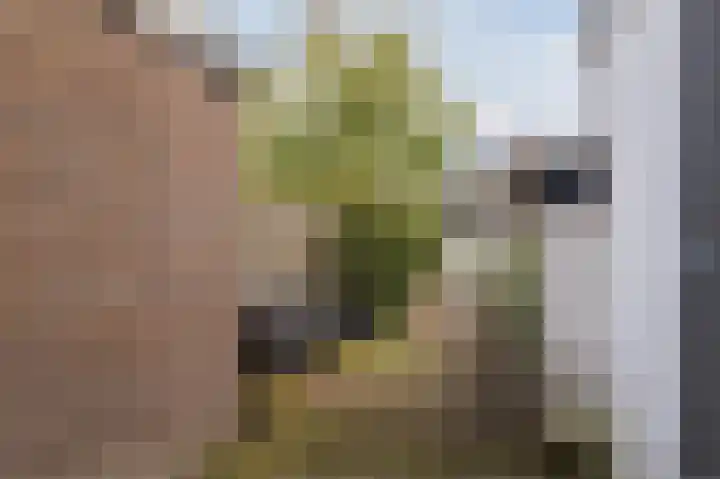 Verlengde Oosterweg 32 Groningen thumbnail 31