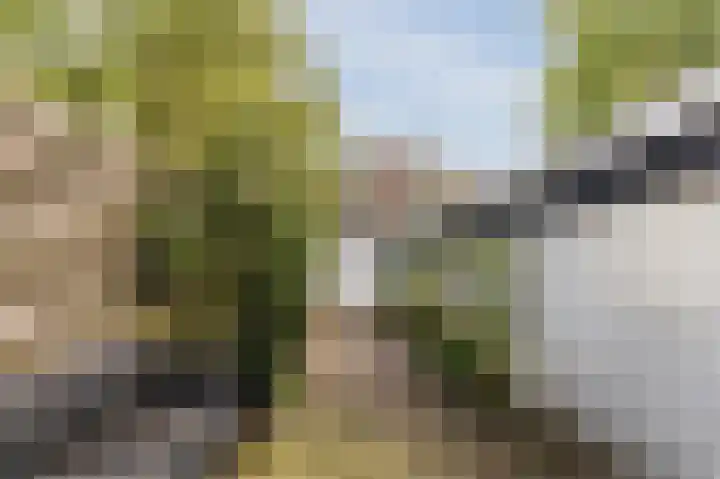 Verlengde Oosterweg 32 Groningen thumbnail 32