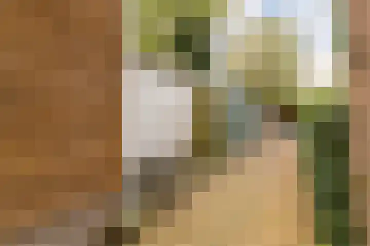 Verlengde Oosterweg 32 Groningen thumbnail 36