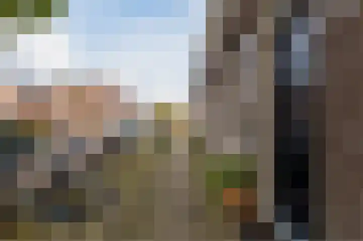 Verlengde Oosterweg 32 Groningen thumbnail 6