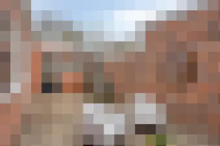 Verlengde Oosterweg 33 Groningen thumbnail 22