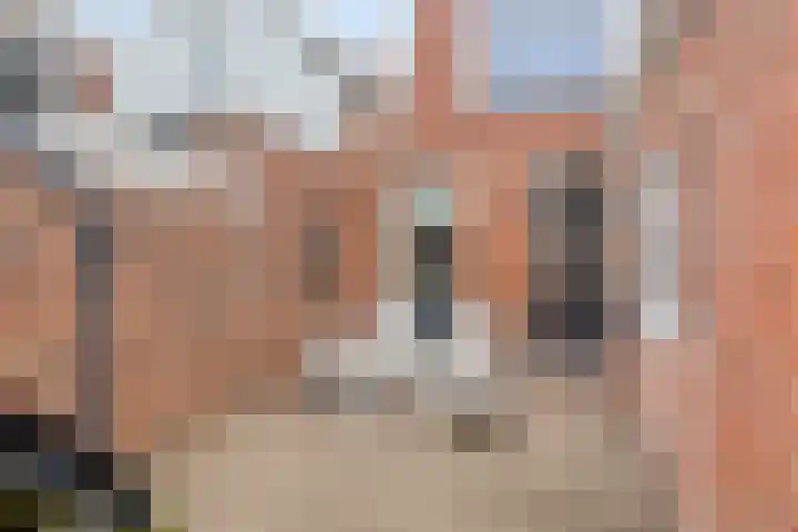 Verlengde Oosterweg 33 Groningen thumbnail 23