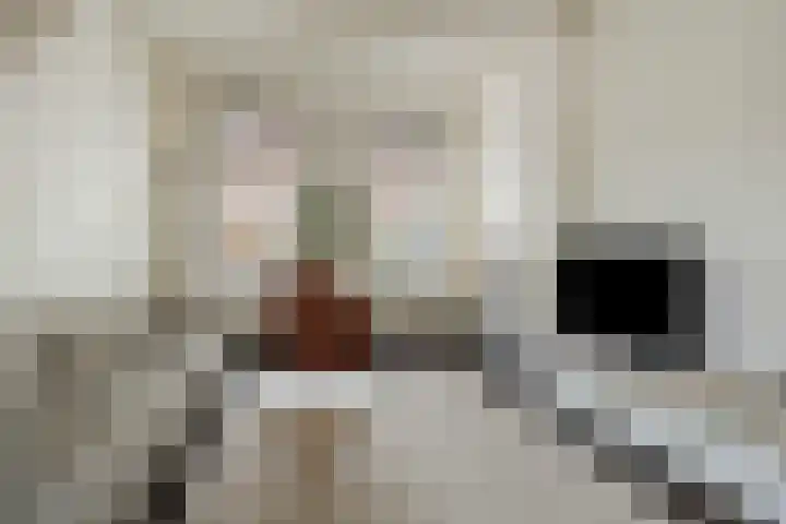 Verlengde Oosterweg 33 Groningen thumbnail 7