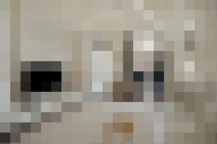Verlengde Oosterweg 33 Groningen thumbnail 8