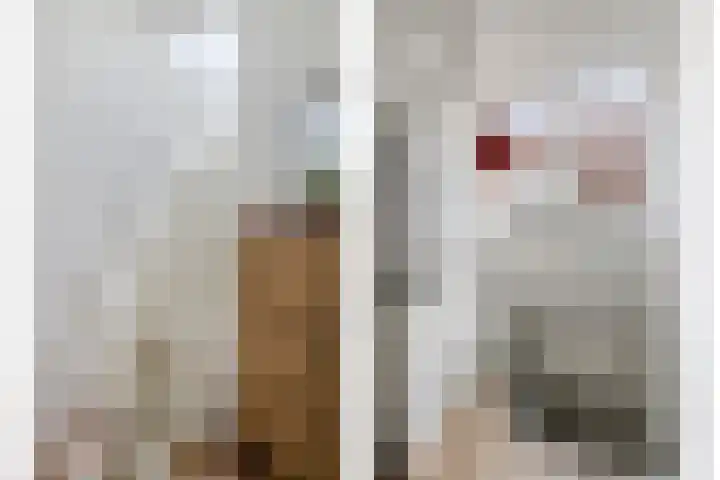 Verlengde Oosterweg 45 a Groningen thumbnail 30