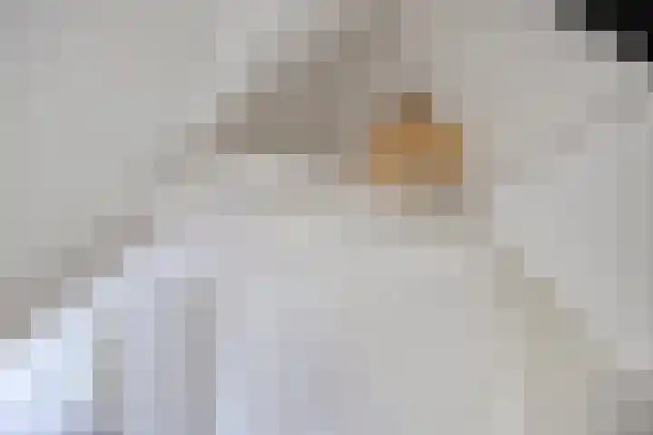 Verlengde Oosterweg 45 a Groningen thumbnail 34