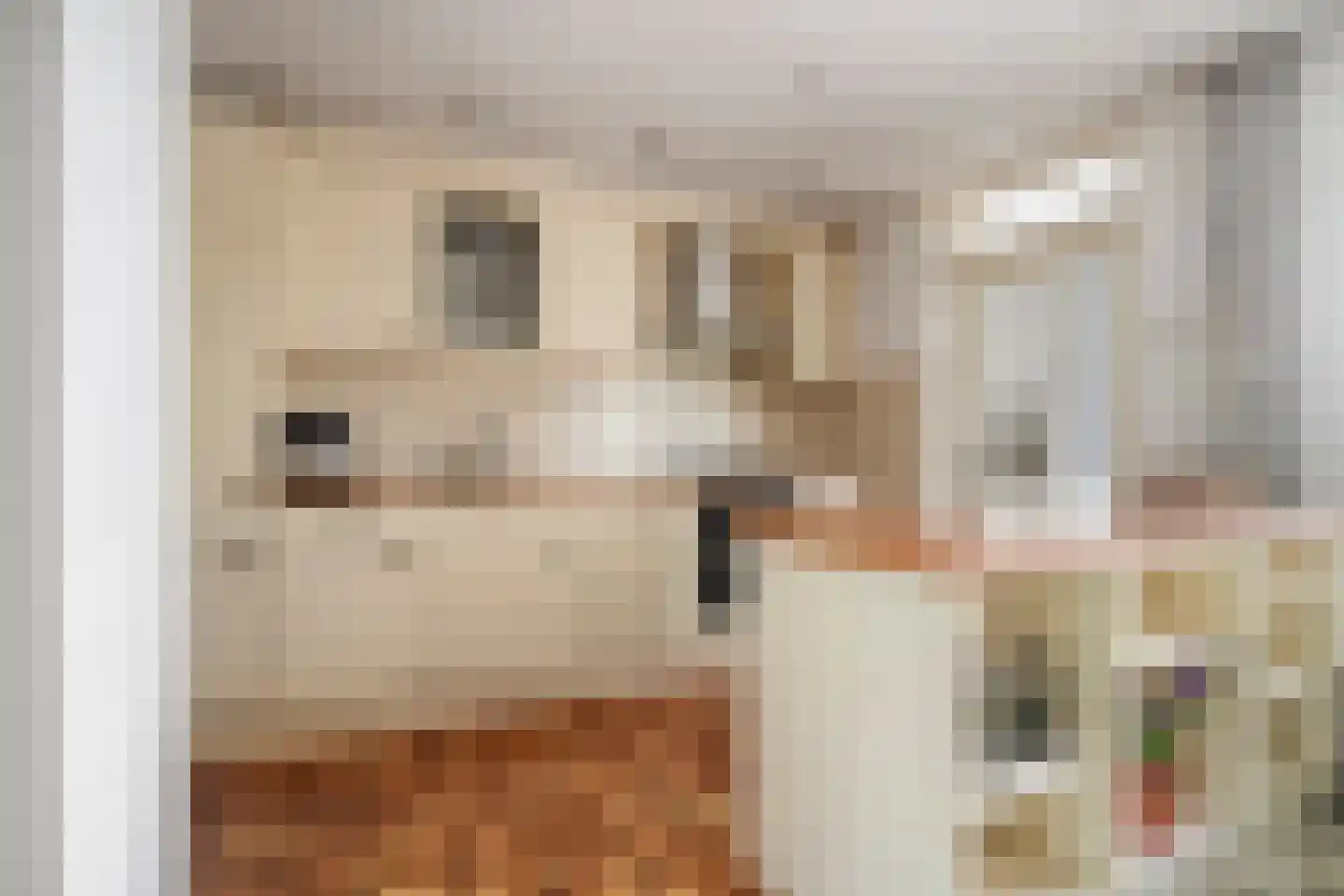 Verlengde Oostsingel 35 Bunschoten-Spakenburg thumbnail 11