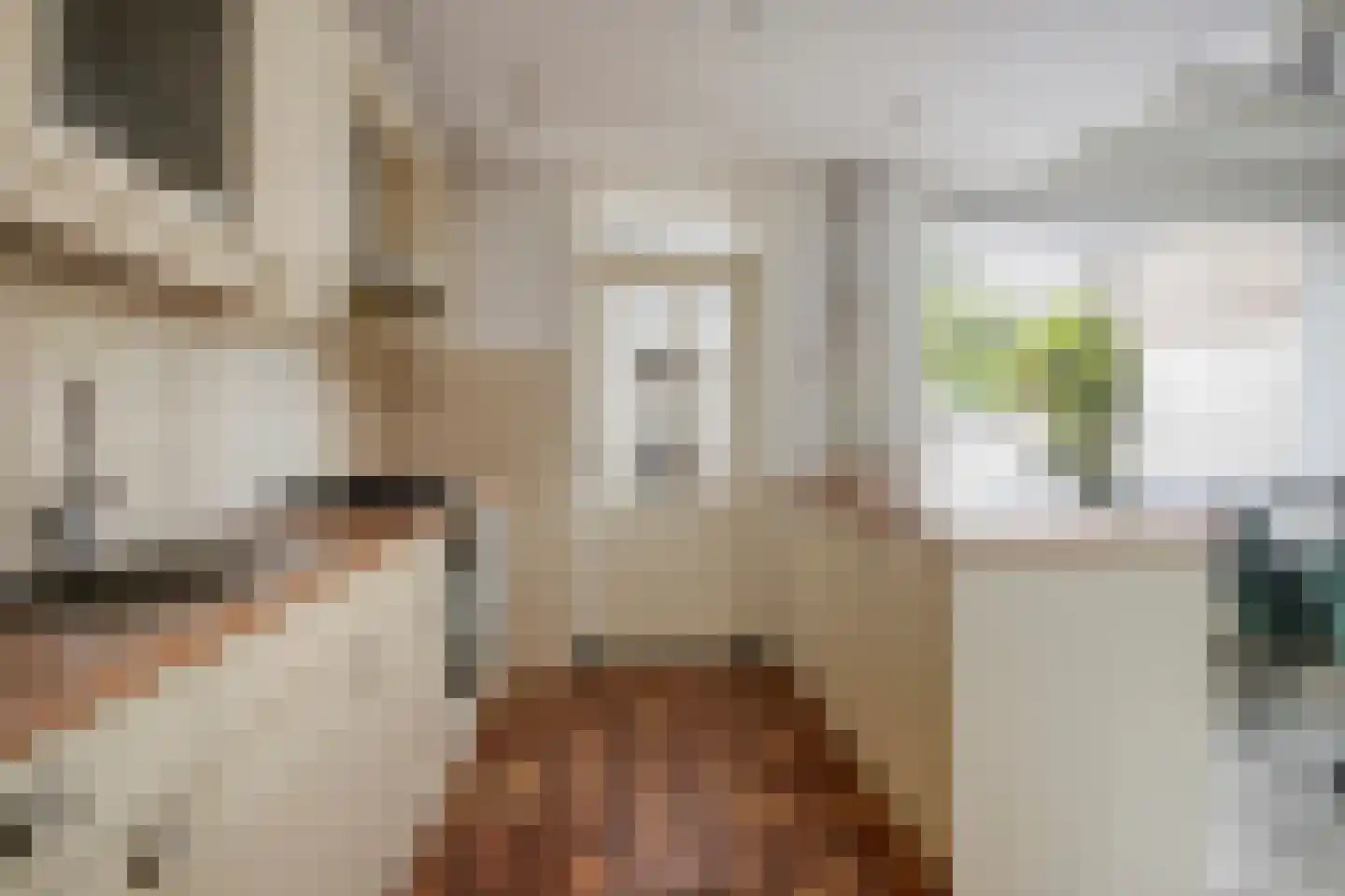 Verlengde Oostsingel 35 Bunschoten-Spakenburg thumbnail 12