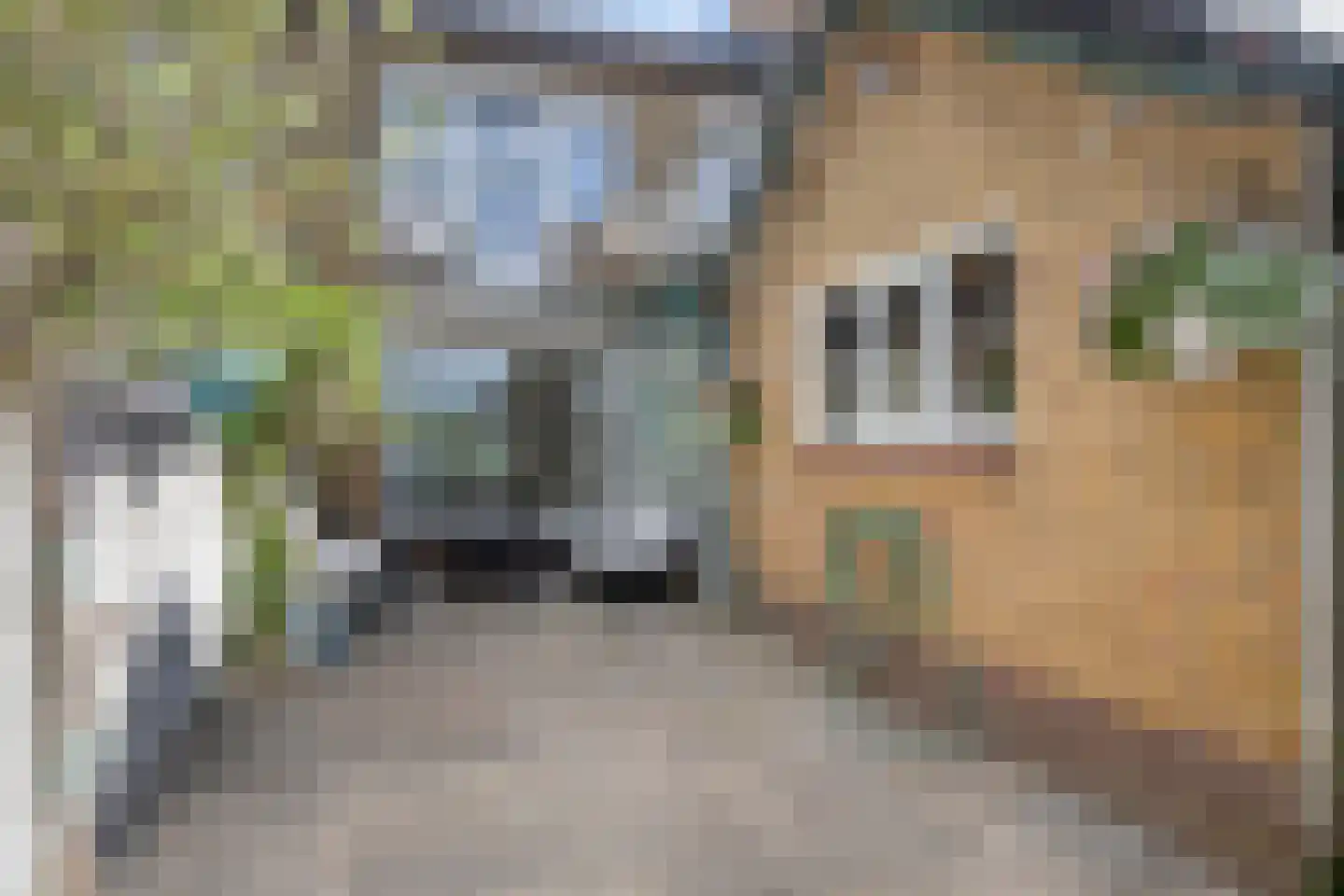 Verlengde Oostsingel 35 Bunschoten-Spakenburg thumbnail 33