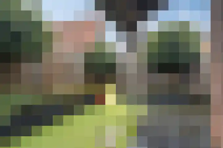 Verlengde Oostsingel 59 Bunschoten-Spakenburg thumbnail 35