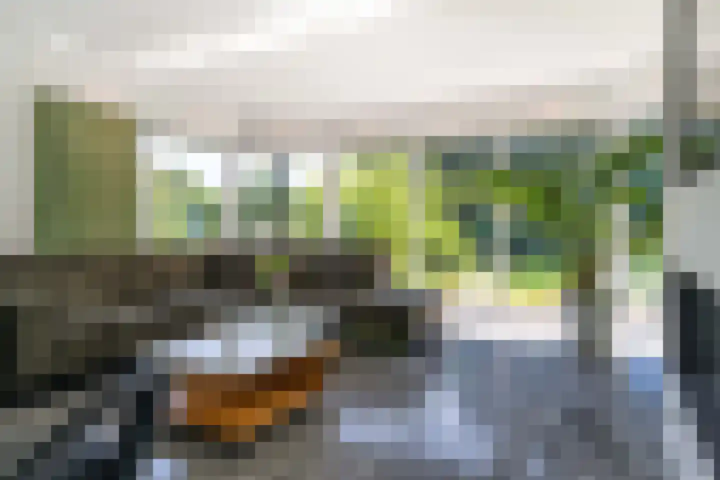 Verlengde Oude Veenendaalseweg 26 Rhenen thumbnail 13