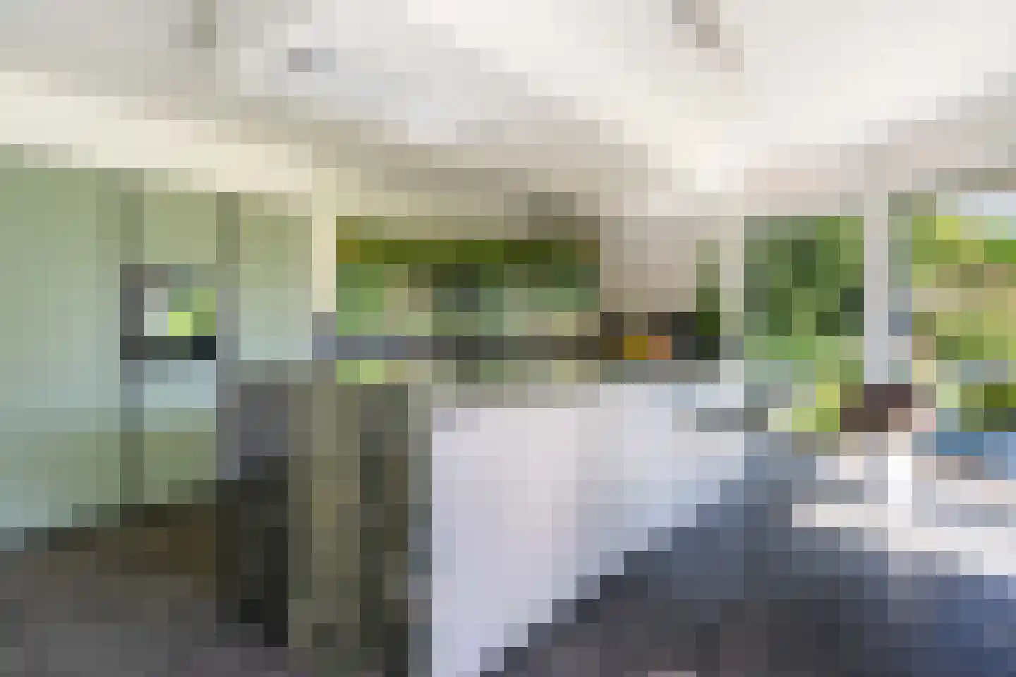 Verlengde Oude Veenendaalseweg 26 Rhenen thumbnail 17