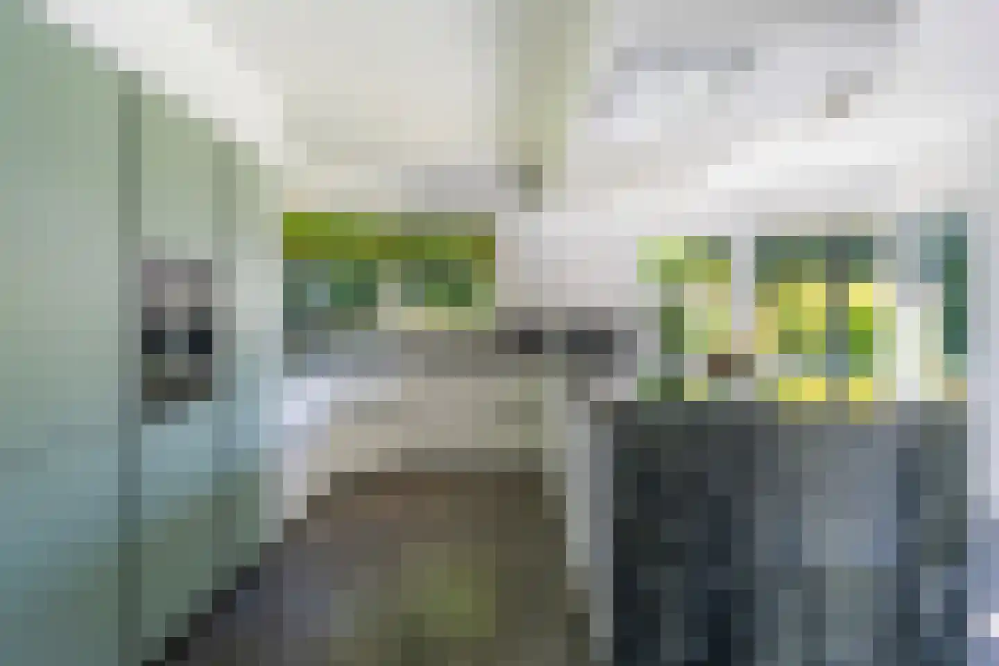 Verlengde Oude Veenendaalseweg 26 Rhenen thumbnail 18