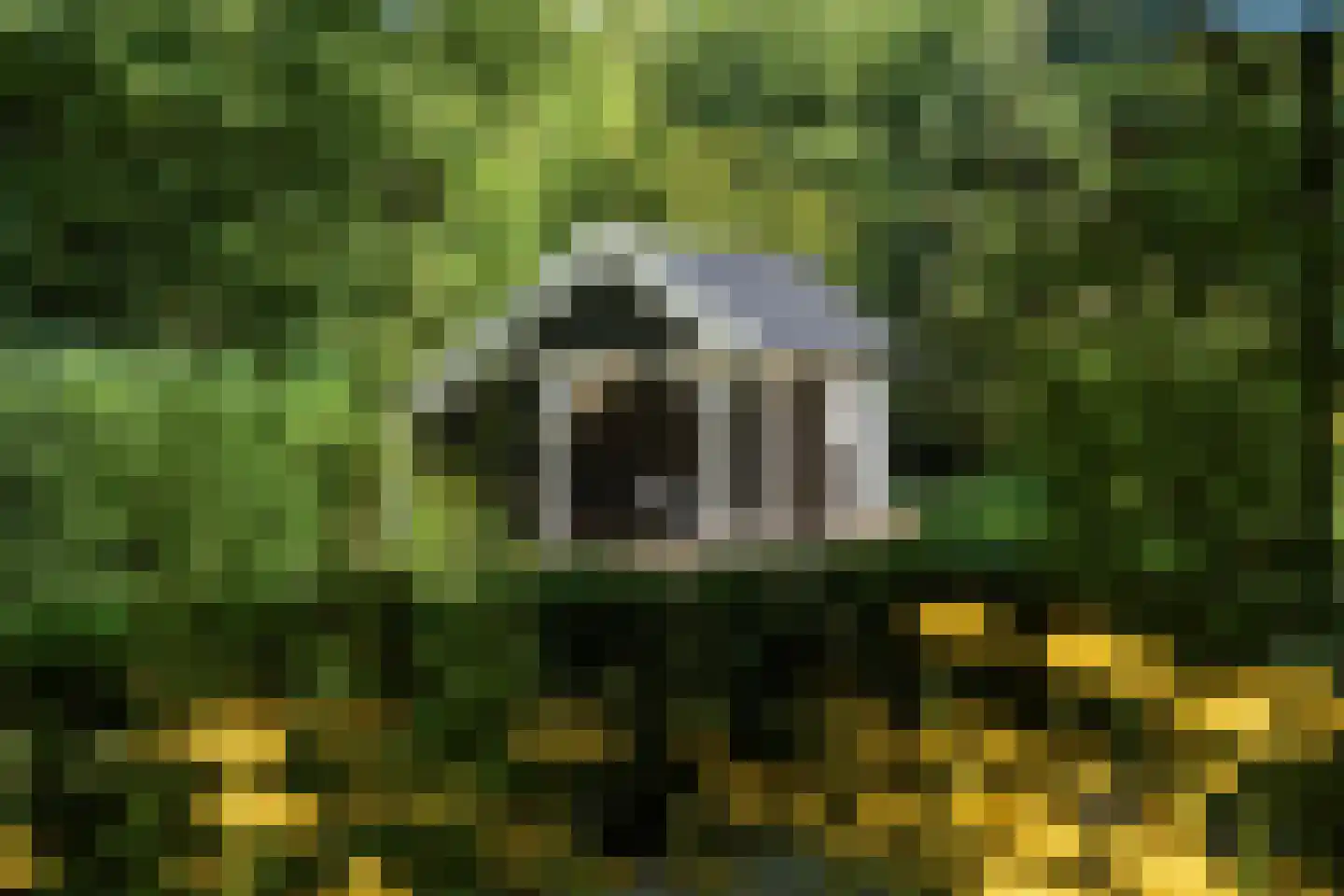 Verlengde Oude Veenendaalseweg 26 Rhenen thumbnail 30