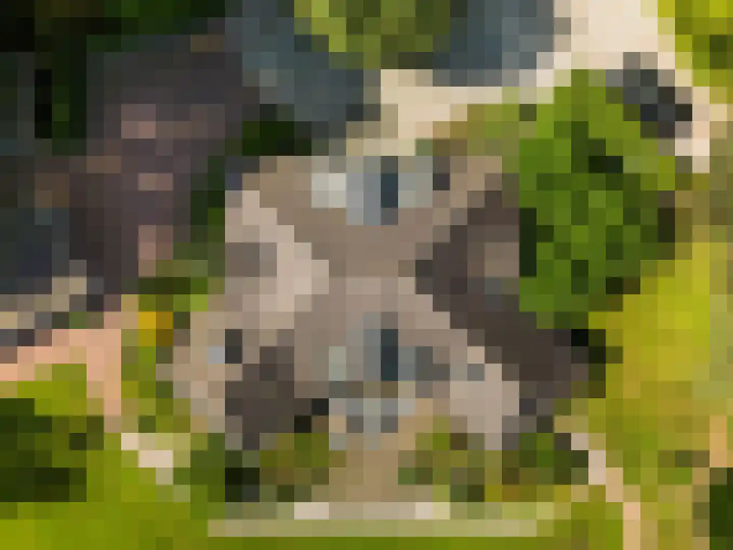 Verlengde Oude Veenendaalseweg 26 Rhenen thumbnail 43
