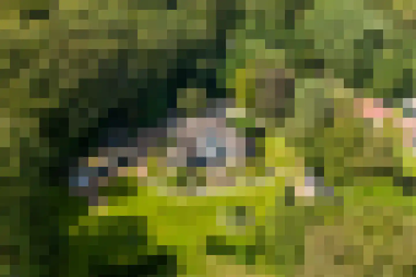 Verlengde Oude Veenendaalseweg 26 Rhenen thumbnail 45