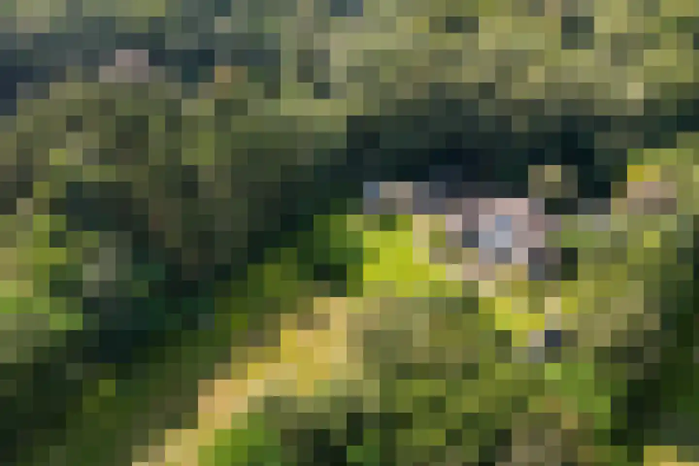 Verlengde Oude Veenendaalseweg 26 Rhenen thumbnail 5